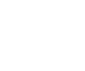 GOVERNMENT
